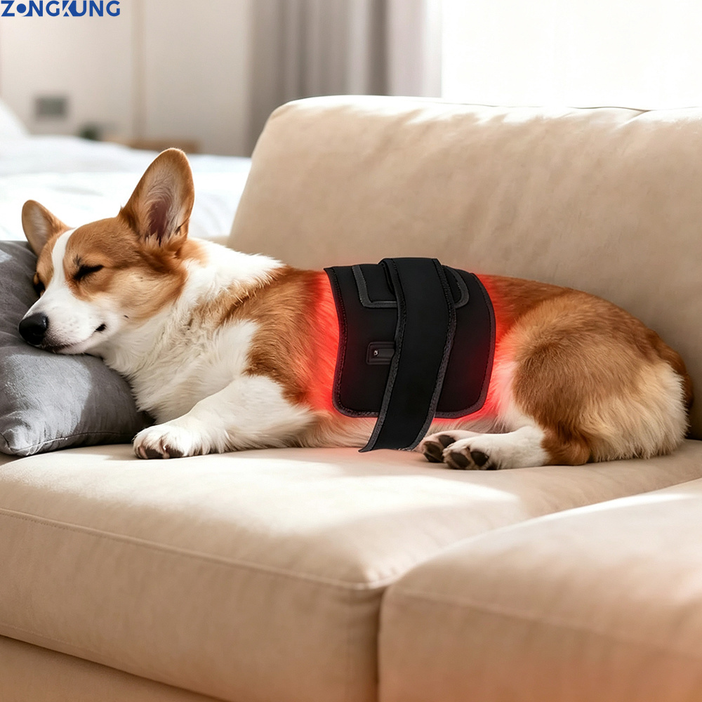 Galvanic Skin Sensor - جهاز علاج بالضوء الأحمر للحيوانات الأليفة،